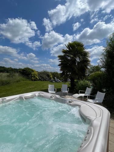 a large swimming pool with chairs and a palm tree at Closerie 3 étoiles La Poire à Loup, Domaine avec Piscine in Vaulandry
