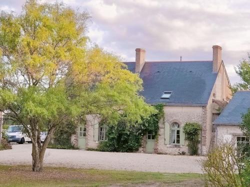 an old house with a tree in front of it at Closerie 3 étoiles La Poire à Loup, Domaine avec Piscine in Vaulandry