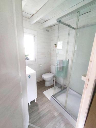une salle de bain avec une douche en verre et des toilettes dans l'établissement Chalet cosy, plages à pieds. Morbihan., à Plouhinec