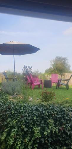 a pink picnic table and an umbrella in a yard at Chez Émile maison d'hotes 2 chambres avec jardin privé in Humes