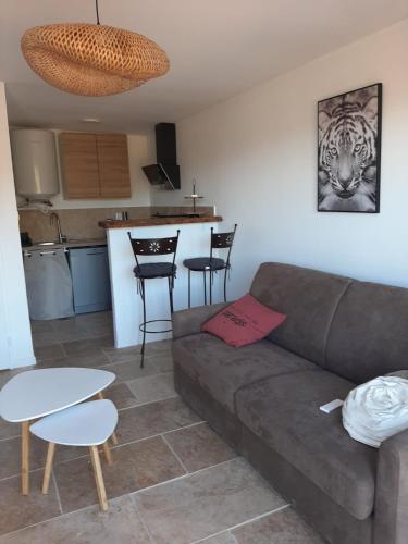 un salon avec un canapé et une table dans l'établissement Studio au calme tout équipé, à Pourrières