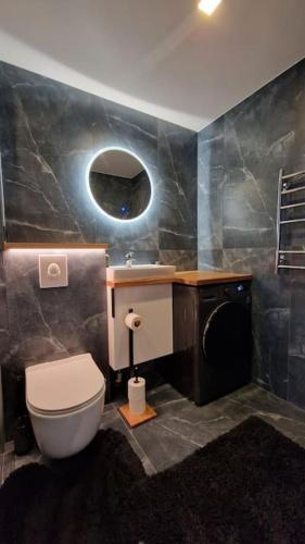 a bathroom with a toilet and a sink at Apartment vanalinnas in Võru