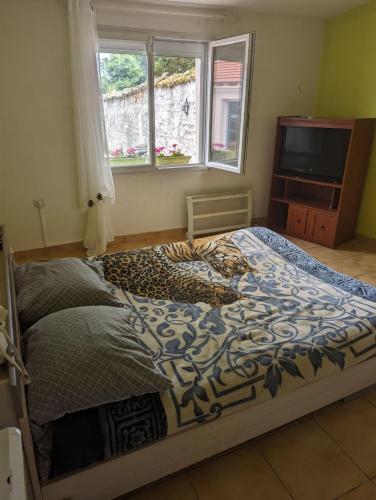 une chambre avec un lit, une télévision et des fenêtres dans l'établissement chambre calme proximité aéroport, à Pusignan