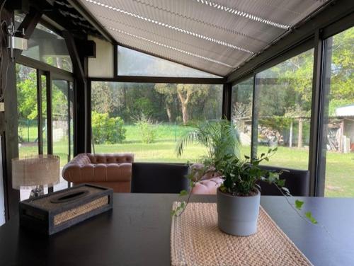 une table avec une plante en pot en haut dans l'établissement Chalet proche océan, à Ondres