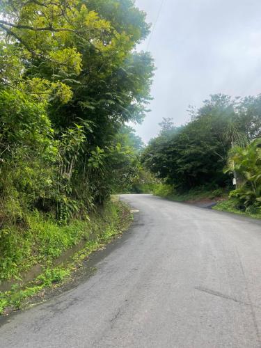 an empty road with trees on either side at Casa de montaña con vista al océano pacífico in Magallanes