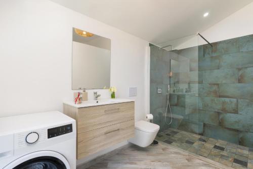 a bathroom with a toilet and a sink and a shower at Maruapo Guest House in Aua