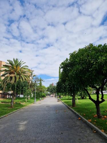 Salusahome parking gratuito