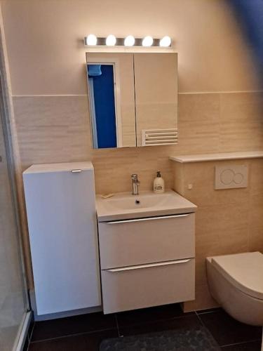 une salle de bain avec un lavabo, des toilettes et un miroir dans l'établissement l adresse en Bretagne, à Paimpol
