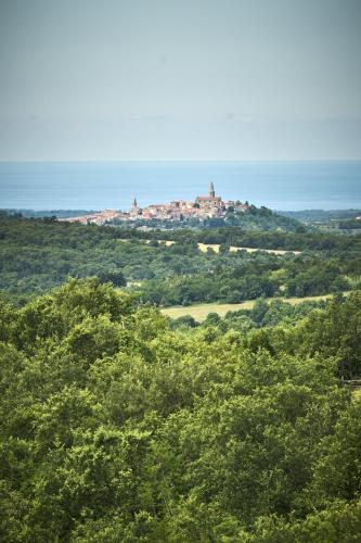 a view of a hill with trees and the ocean at Casa Minalu in Marušići