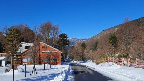 Gallery image of Volkano Rustik Lodge in Malalcahuello