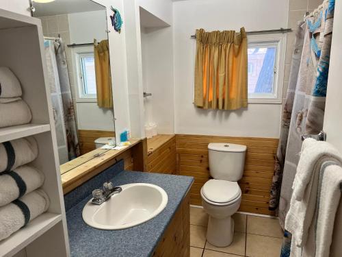 un piccolo bagno con un water e un lavandino di Saga Resort a Wasaga Beach