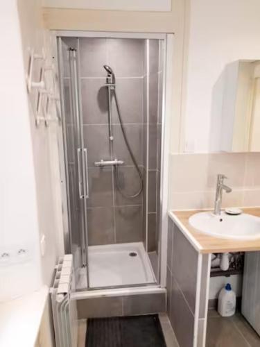 une salle de bain avec douche et lavabo dans l'établissement T2 cosy, à Grenoble