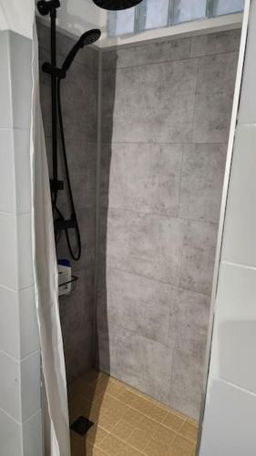 La salle de bains est pourvue d'une douche avec rideau de douche. dans l'établissement Mini villa Favone, à Conca