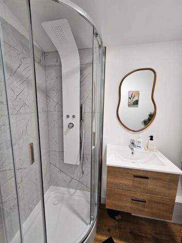 a bathroom with a shower and a sink and a mirror at Studio premium, à 50m du Lac d'Ardres avec terrasse in Ardres