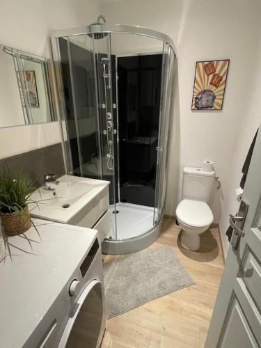 une salle de bain avec une douche, des toilettes et un lavabo dans l'établissement Hypercentre, calme, vintage - Le Rétro, à Pontarlier