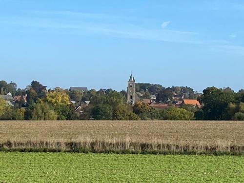 a field with a church in the background with a church tower at A la campagne in Villers-Pol