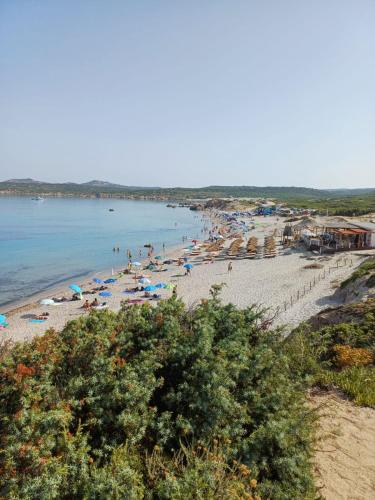 a beach with people and umbrellas and the water at Villette a Schiera Rena Majore in Rena Majore