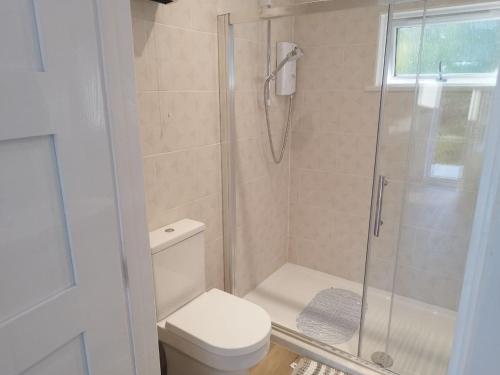 a bathroom with a toilet and a glass shower at The Hilltop Bungalow in Clophill