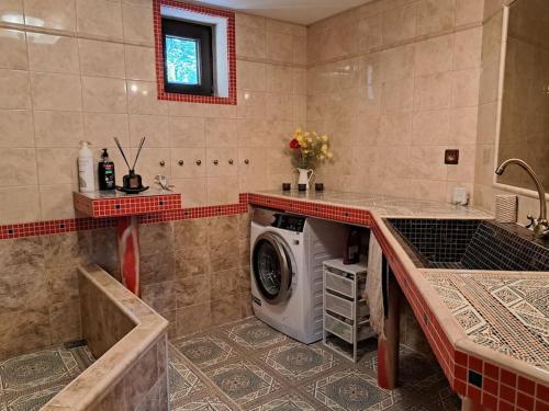 une buanderie avec un lave-linge. dans l'établissement Лесной Коттедж Нова, à Živohošť