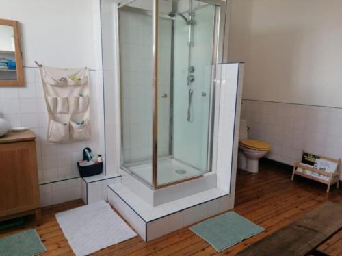 une salle de bain avec douche et toilettes dans l'établissement Adorable maison avec jardin - Liévin centre, à Liévin
