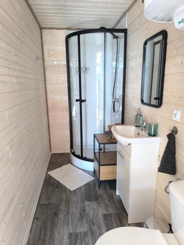 a bathroom with a shower and a sink at Dolina Baryczy 5 Kotów in Żmigród