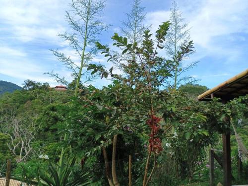 Landskap semula jadi dekat dengan rumah percutian