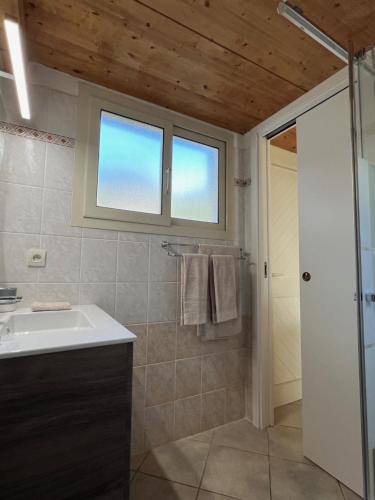une salle de bain avec un lavabo et une douche dans l'établissement Casetta Jema, à Lumio