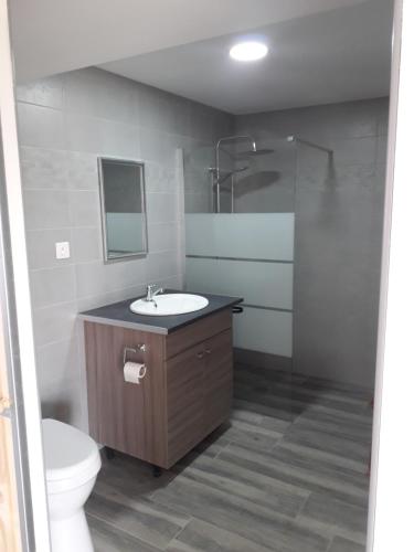 une salle de bain avec un lavabo et des toilettes dans l'établissement Chez Tata Madeleine, à Montbras