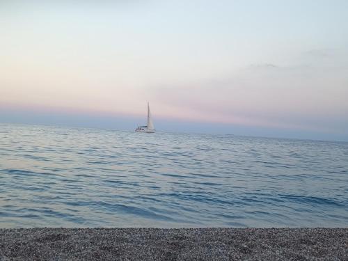 a sail boat in the water with a beach at Adelia House in Catania