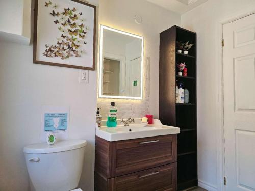 a bathroom with a toilet and a sink and a mirror at Winnipeg Holiday in Winnipeg