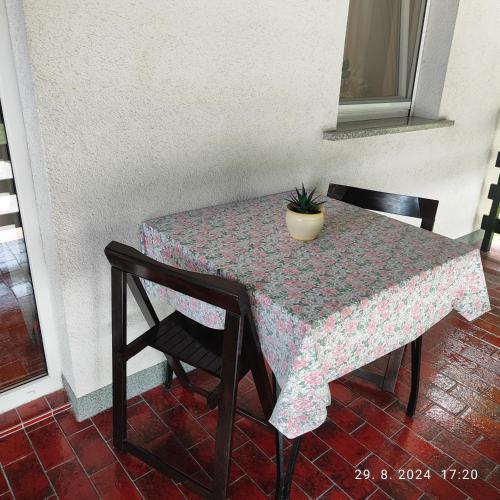 a table with a potted plant sitting on top of it at Guest House Atelšek in Rečica ob Savinji