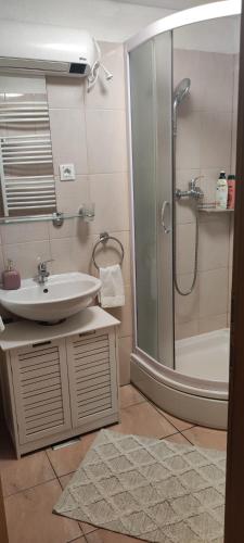 a bathroom with a sink and a shower at Apartman Campo in Šibenik