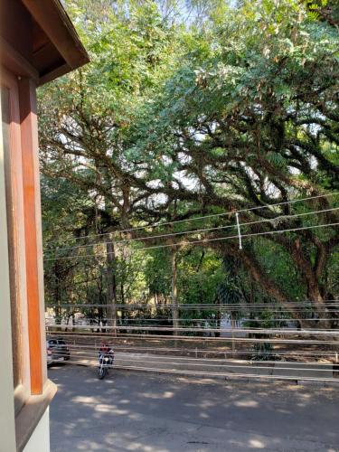 a motorcycle parked under a large tree next to a fence at Pousada Monte Sião in Sao Paulo