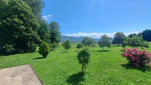 Φυσικό τοπίο κοντά σε αυτό το διαμέρισμα