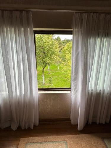 a window with white curtains and a view of a tree at Villa in Tsikhisdziri in Boboqvat'i