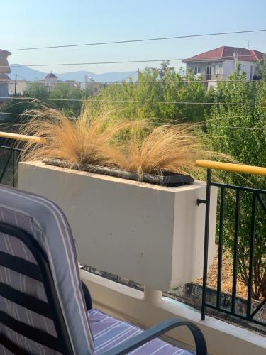 a planter with grass in it on a balcony at Orfeas apartment in Tripolis