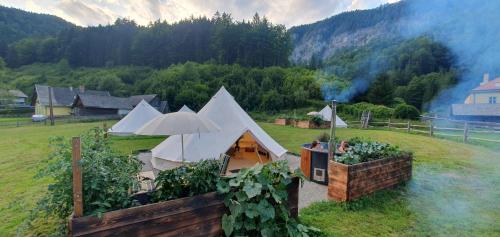 Příroda nedaleko luxury tent