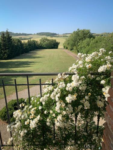 une brousse de fleurs blanches sur une clôture dans l'établissement The East Wing - Carcassonne, à Montréal