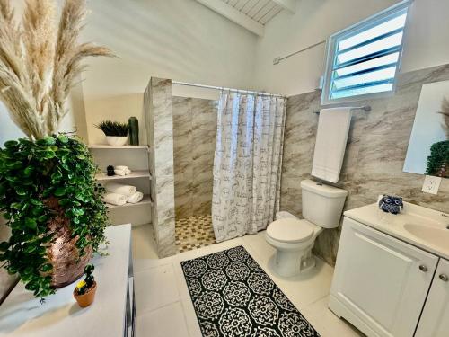 a bathroom with a shower and a toilet and a sink at Casa Playa in Boqueron