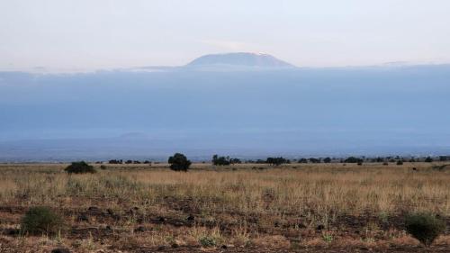 a view of a mountain in the middle of a field at Amanya 2 Bedroom Self Catering Tent in Amboseli