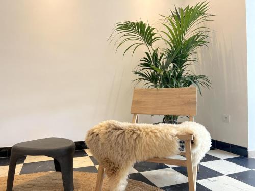 a room with a chair and a potted plant at Hestia in Oudsbergen 