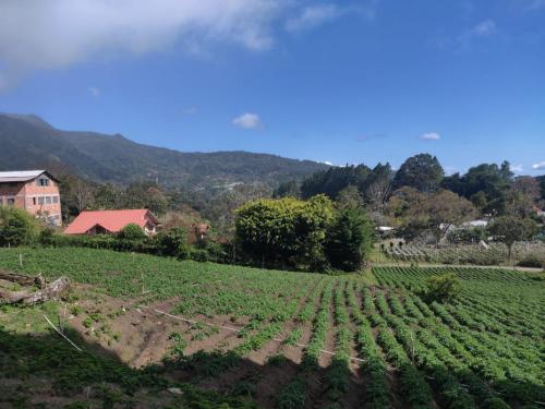 Paisaje cerca de este albergue