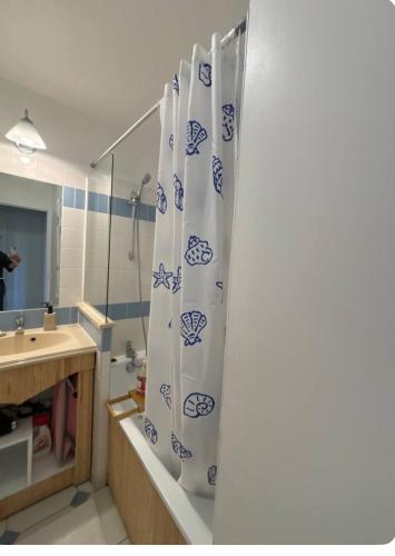 une salle de bain avec un lavabo et un rideau de douche dans l'établissement Petit Golf résidence privée piscine chauffée, à Deauville