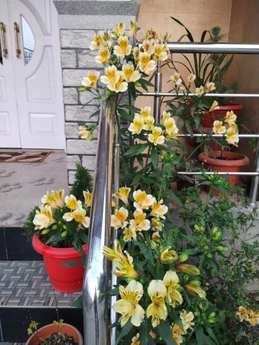 a bunch of yellow flowers inront of a door at Tranquil Retreat Homestay in Ghum