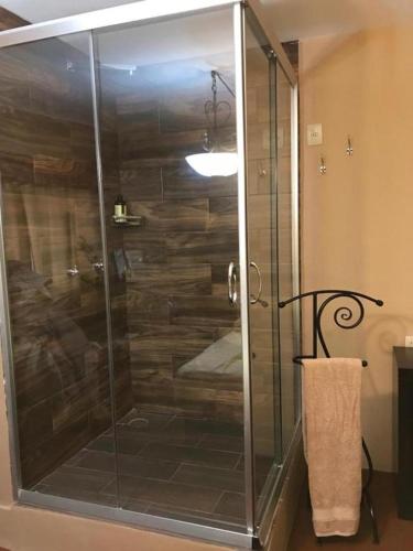 a shower with a glass door in a bathroom at Casa de las Escaleras in Pátzcuaro