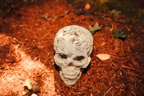 a statue of a skull sitting on the ground at Illuminati Guest House in Victoria