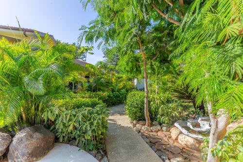 a garden with palm trees and a walkway at Green Villas Tamarindo in Tamarindo