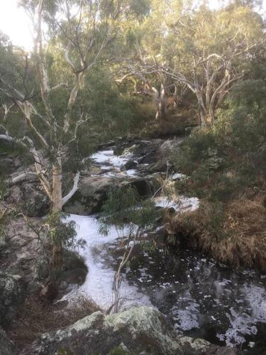 a stream in a forest with trees and rocks at Goolwa Retreat in Goolwa North