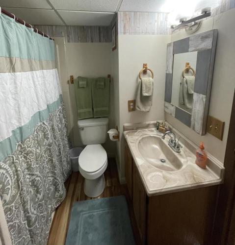 a small bathroom with a toilet and a sink at Blue Spruce Condo #134 in Ruidoso