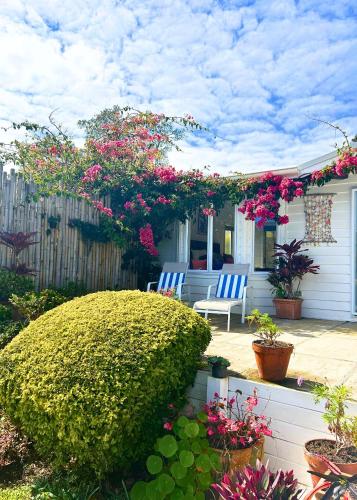 two blue chairs sitting on a patio with flowers at Sunset Villa Norfolk Island - a Mediterranean inspired villa in Burnt Pine